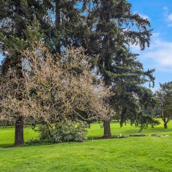 1500BroadmoorDrE-LOT-12