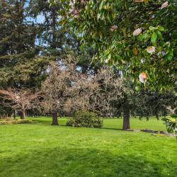 1500BroadmoorDrE-LOT-13
